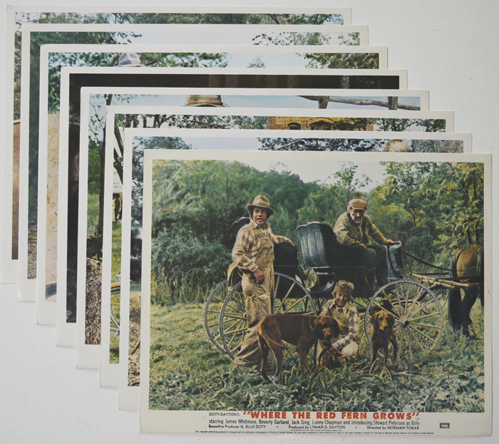 Where The Red Fern Grows <p><a> Set of 8 Original Colour Front Of House Stills / Lobby Cards </i></p>