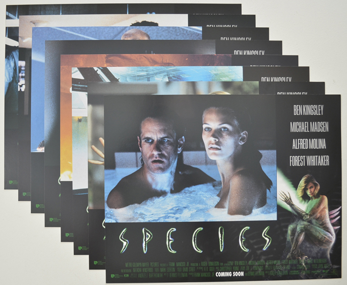 Species <p><a> Set Of 8 Cinema Lobby Cards </i></p>