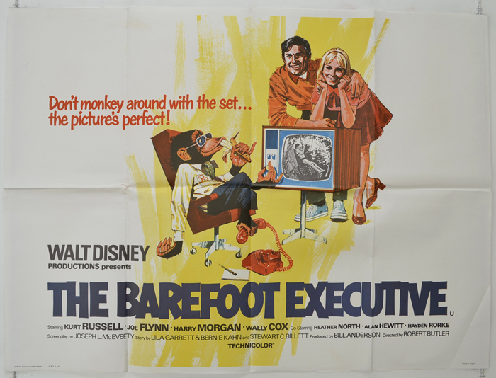 Barefoot Executive (The)