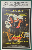 Certain Fury <p><i> (Original Belgian Movie Poster) </i></p>
