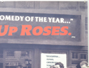 COMING UP ROSES (Top Right) Cinema Quad Movie Poster