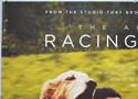THE ART OF RACING IN THE RAIN (Top Left) Cinema Quad Movie Poster