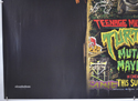 TEENAGE MUTANT NINJA TURTLES - MUTANT MAYHEM (Bottom Left) Cinema Quad Movie Poster