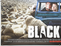 BLACK SHEEP (Bottom Left) Cinema Quad Movie Poster