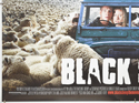 BLACK SHEEP (Bottom Left) Cinema Quad Movie Poster