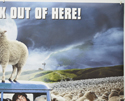 BLACK SHEEP (Top Right) Cinema Quad Movie Poster