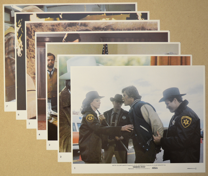 Endangered Species <p><a> 7 Original Colour Front Of House Stills / Lobby Cards </i></p>