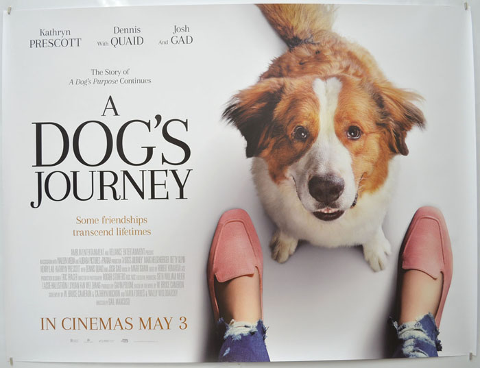 A Dog's Journey 