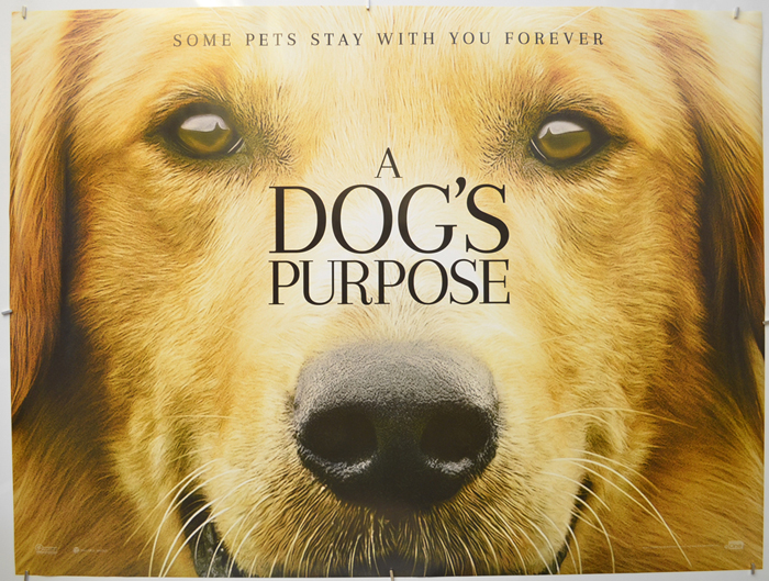 A Dog's Purpose <p><i> (Teaser / Advance Version) </i></p>
