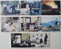 THEY ONLY KILL THEIR MASTERS Cinema Set of Colour FOH Stills / Lobby Cards 