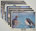 FREE WILLY (Full View) Cinema Set of Lobby Cards 