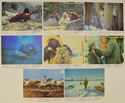 Never Cry Wolf <p><a> Set of 8 Original Lobby Cards / Colour Front Of House Stills </i></p>