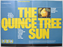 Quince Tree Sun (The) <p><i> (a.k.a. El sol del membrillo) </i></p>