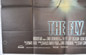 THE FLY (Bottom Left) Cinema Quad Movie Poster