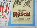 ALICE IN WONDERLAND / RASCAL (Bottom Right) Cinema Quad Movie Poster