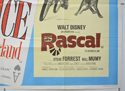 ALICE IN WONDERLAND / RASCAL (Bottom Right) Cinema Quad Movie Poster