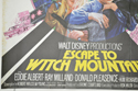 ESCAPE TO WITCH MOUNTAIN / THE CASTAWAY COWBOY (Bottom Left) Cinema Quad Movie Poster