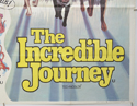 SWORD IN THE STONE / THE INCREDIBLE JOURNEY (Bottom Right) Cinema Quad Movie Poster