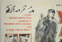 THE YOUNG AND THE BRAVE (Top Left) Cinema Quad Movie Poster