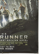 THE MAZE RUNNER (Bottom Right) Cinema One Sheet Movie Poster