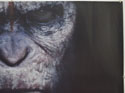 DAWN OF THE PLANET OF THE APES (Top Right) Cinema Quad Movie Poster
