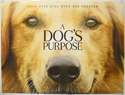 A Dog's Purpose <p><i> (Teaser / Advance Version) </i></p>