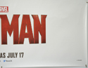 ANT-MAN (Bottom Right) Cinema Quad Movie Poster