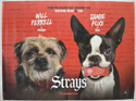 STRAYS Cinema Quad Movie Poster