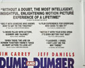 DUMB AND DUMBER (Top Right) Cinema Quad Movie Poster